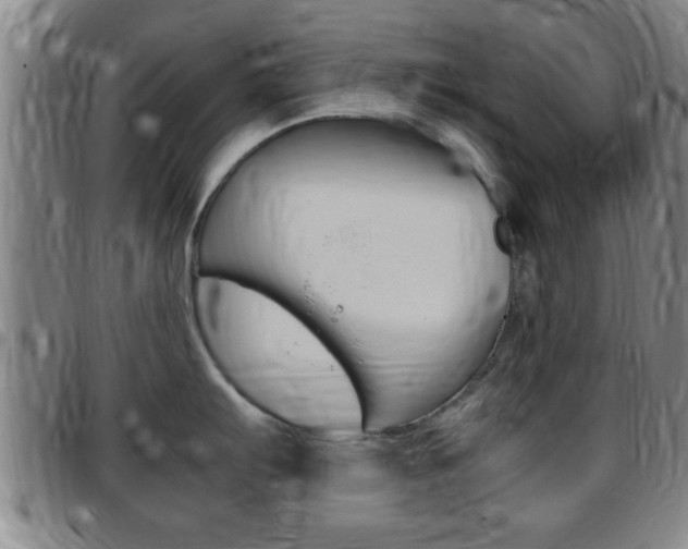 X0000097881103200803140936