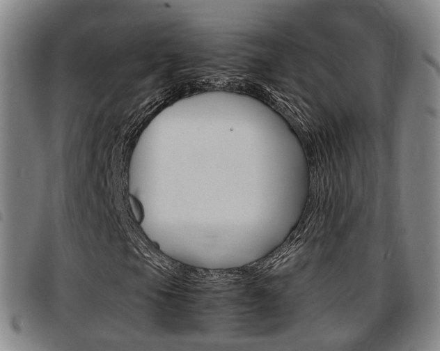 X0000097881105200803140935