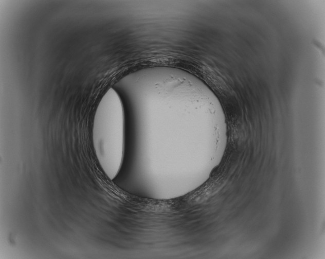X0000097881106200803140935