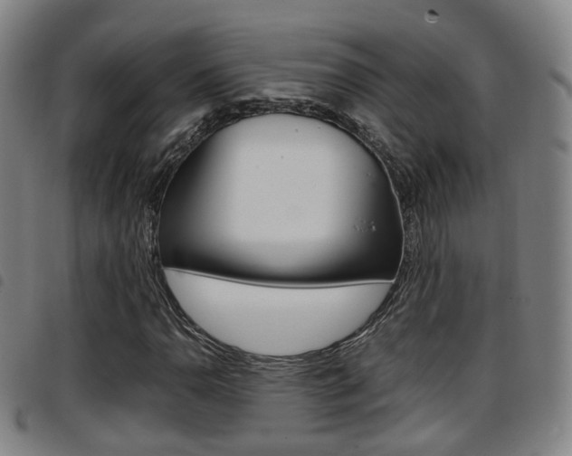 X0000097881110200803140935