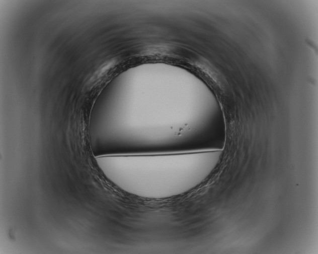 X0000097881111200803140936