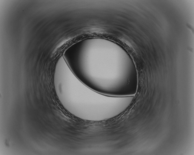 X0000097881112200803140936
