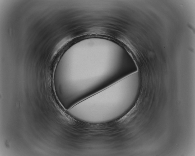 X0000097881115200803140936