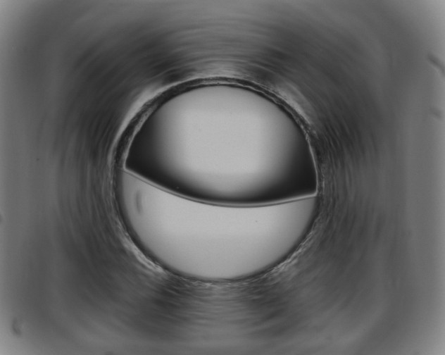 X0000097881116200803140936