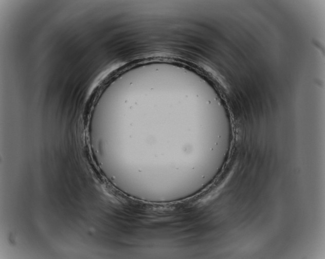 X0000097881117200803140936
