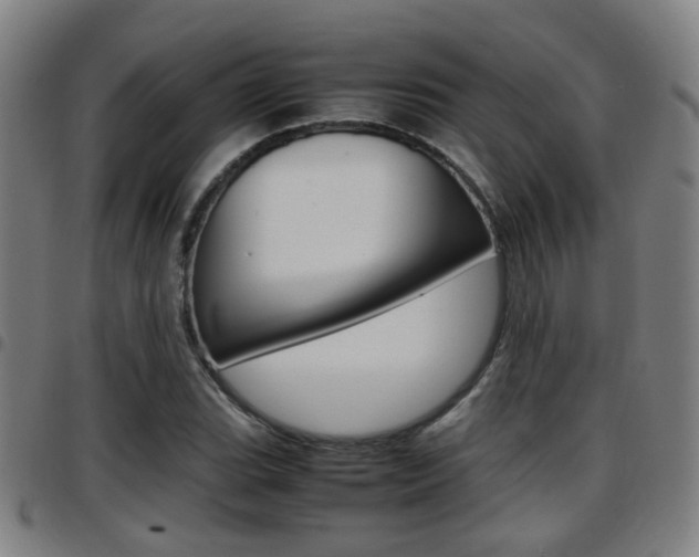 X0000097881119200803140936