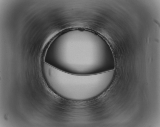 X0000097881120200803140936