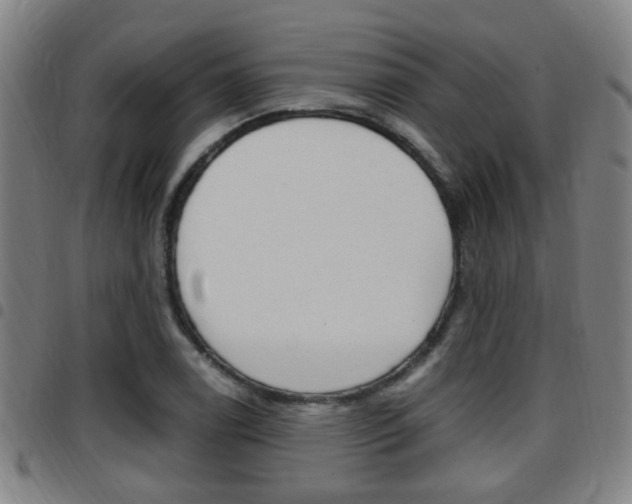 X0000097881122200803140936