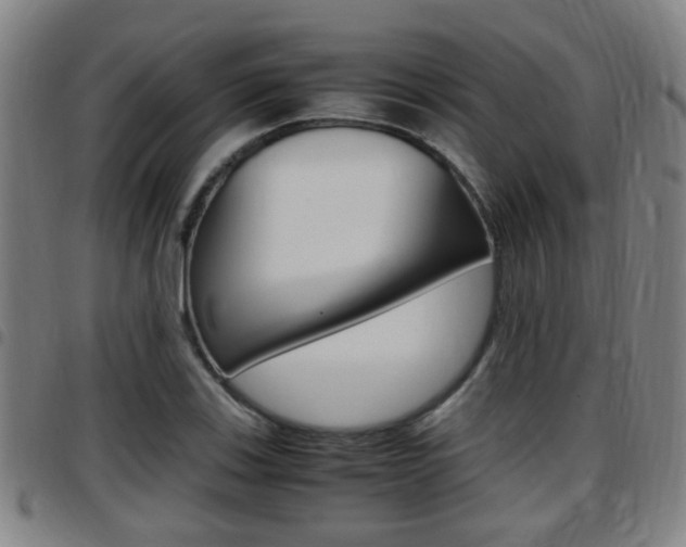X0000097881123200803140936