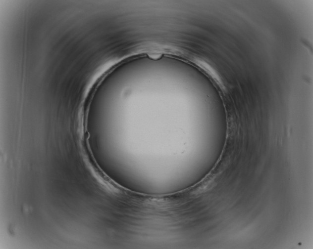 X0000097881128200803140936