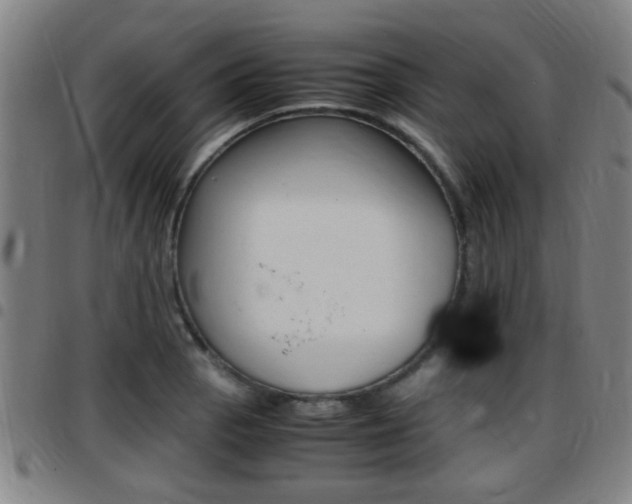 X0000097881129200803140936