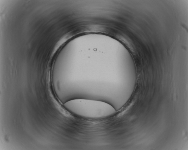X0000097881130200803140936