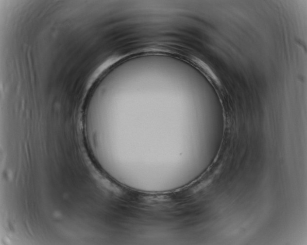 X0000097881133200803140936