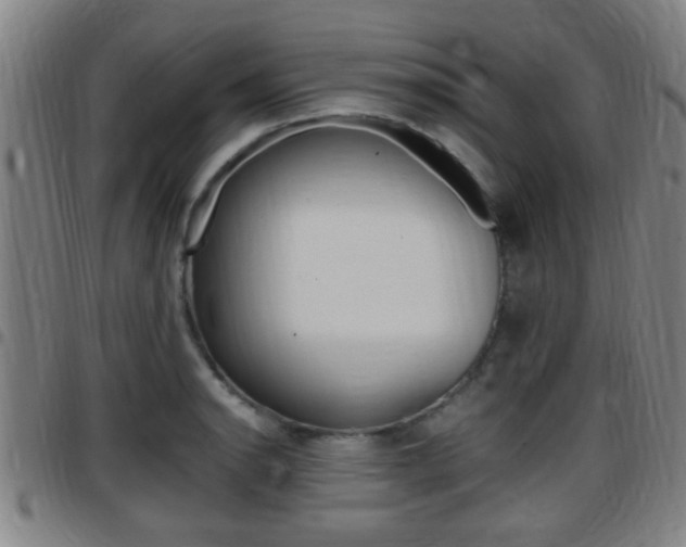 X0000097881134200803140936