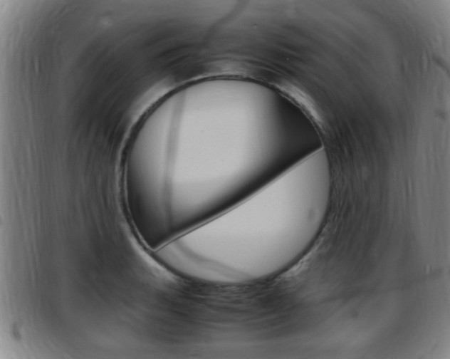 X0000097881135200803140936