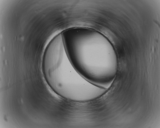 X0000097881136200803140936