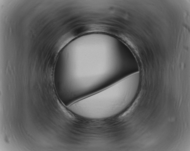 X0000097881137200803140936