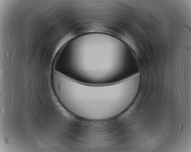 X0000097881138200803140936