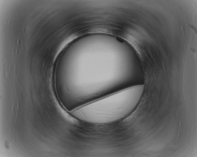 X0000097881139200803140936