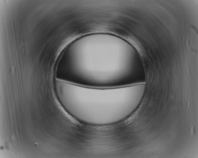 X0000097881142200803140936