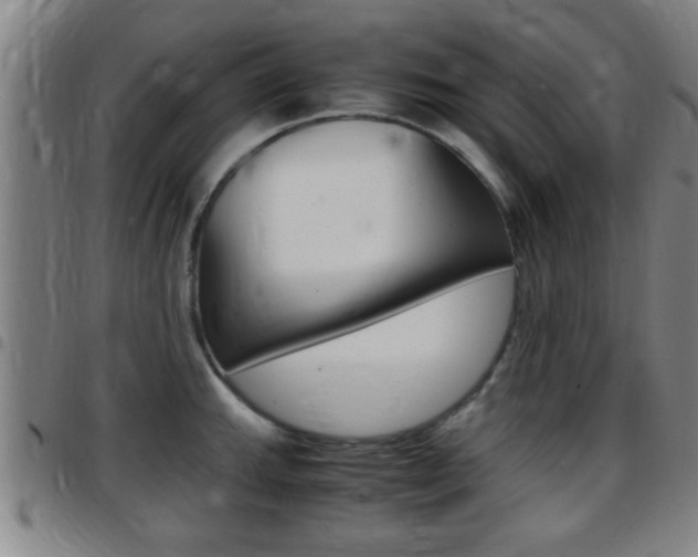 X0000097881143200803140936