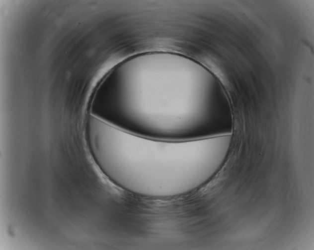 X0000097881144200803140936