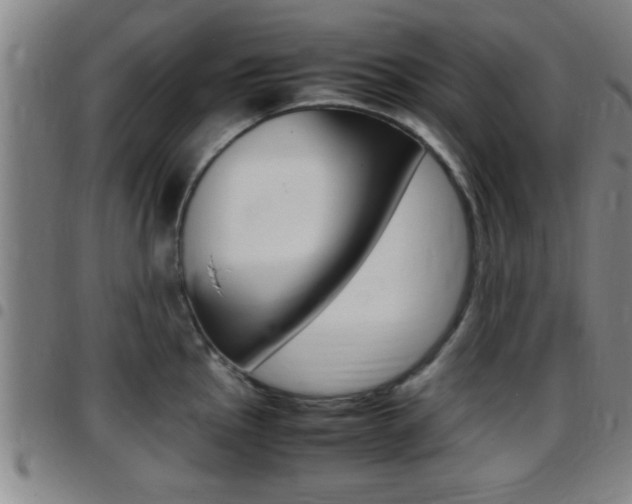 X0000097881145200803140936