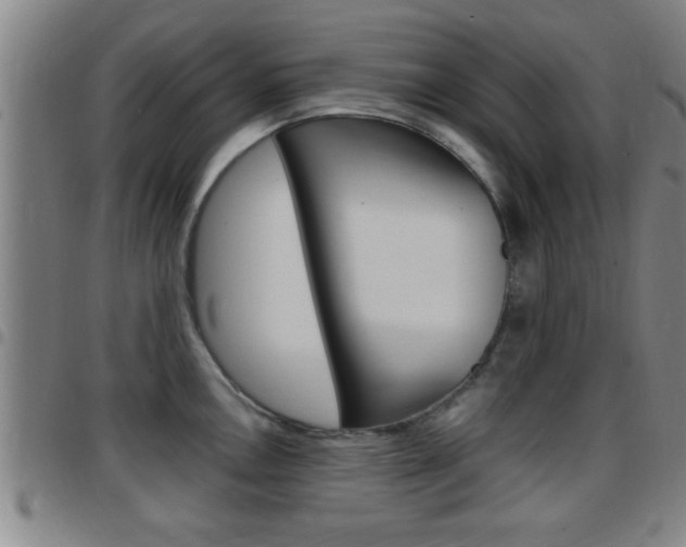X0000097881146200803140936