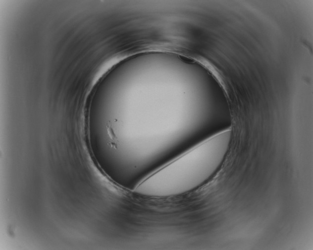 X0000097881147200803140936