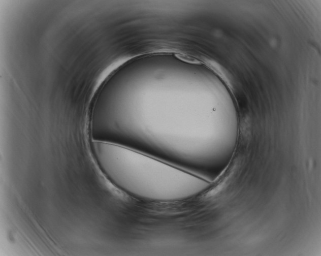 X0000097881149200803140936