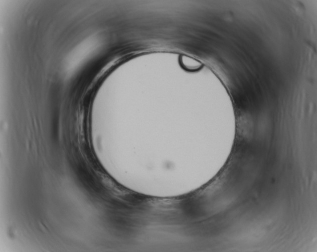 X0000097881150200803140936