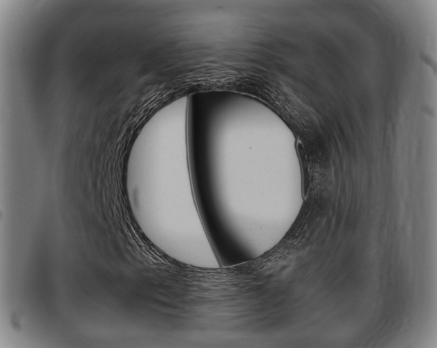 X0000097881153200803140935