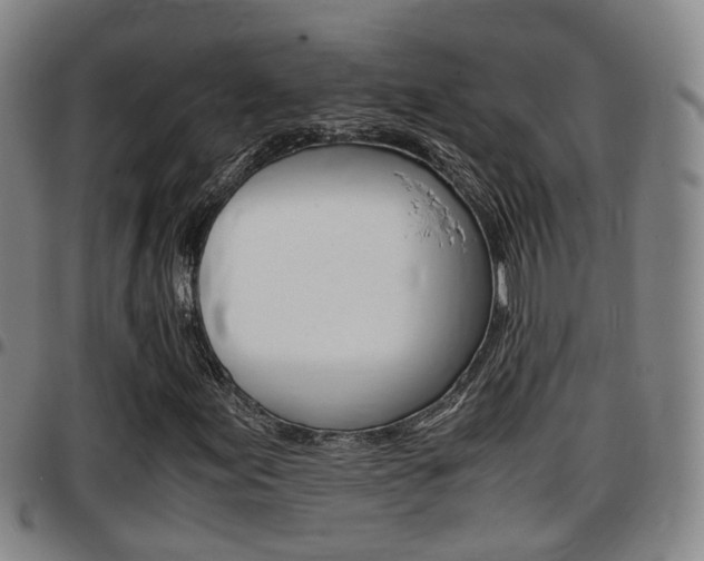 X0000097881155200803140935