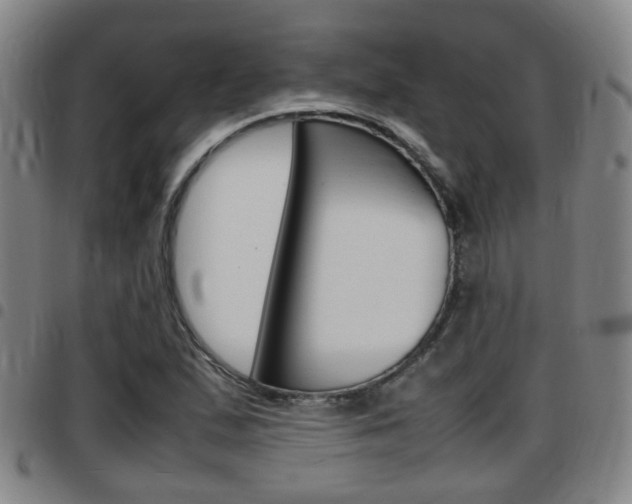 X0000097881167200803140935