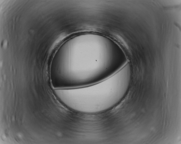 X0000097881172200803140935