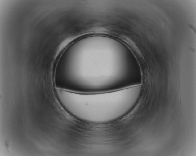 X0000097881176200803140935