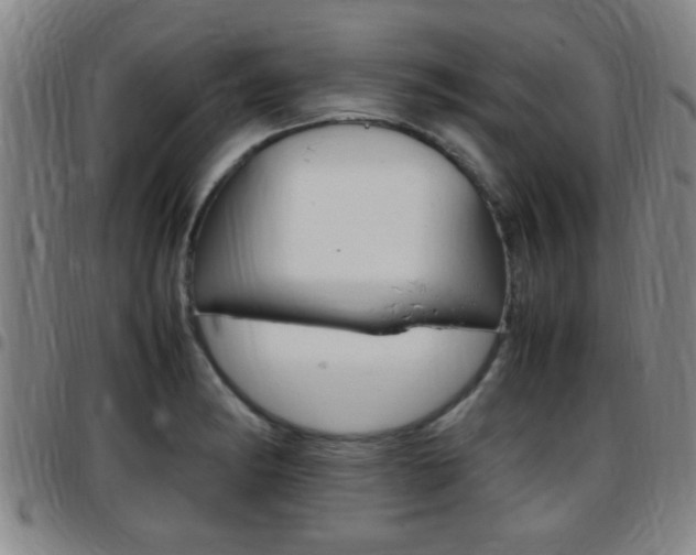 X0000097881182200803140935