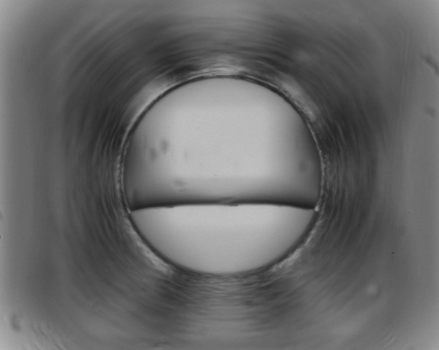 X0000097881186200803140935