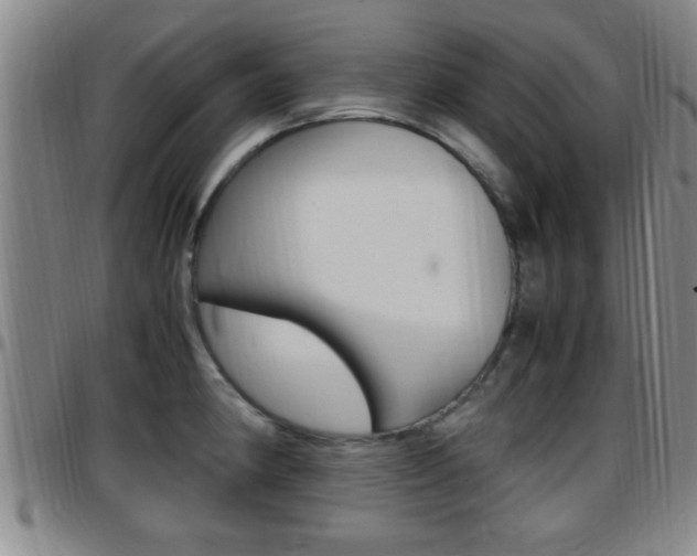 X0000097881190200803140935