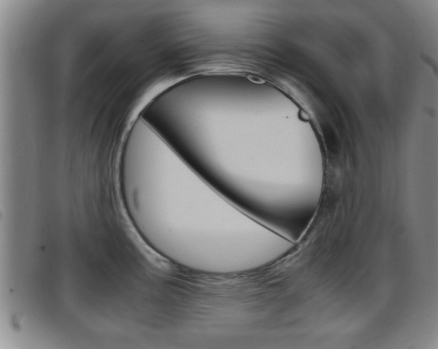 X0000097881195200803140935