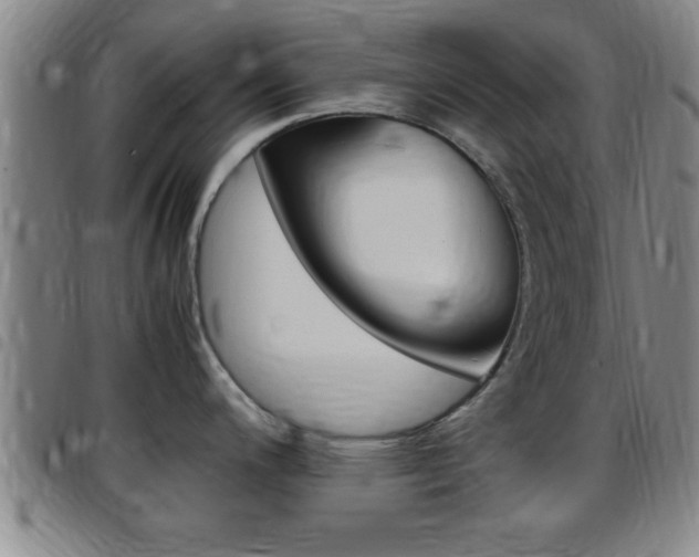 X0000097881200200803140935