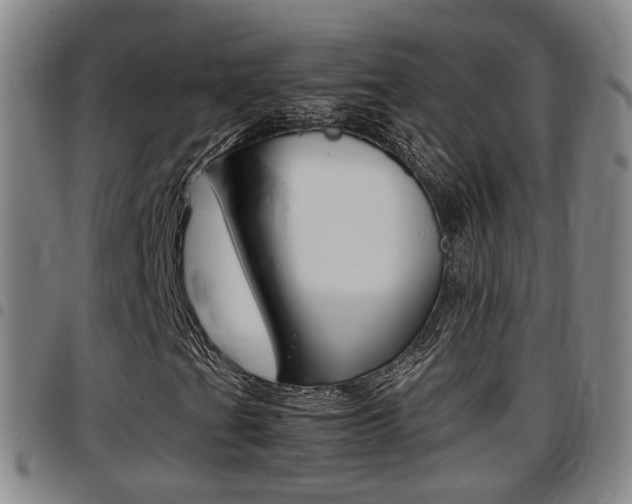 X0000097881201200803140934