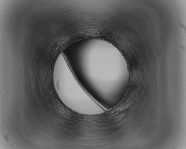 X0000097881202200803140934
