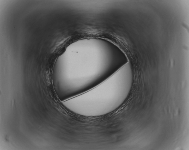 X0000097881205200803140934