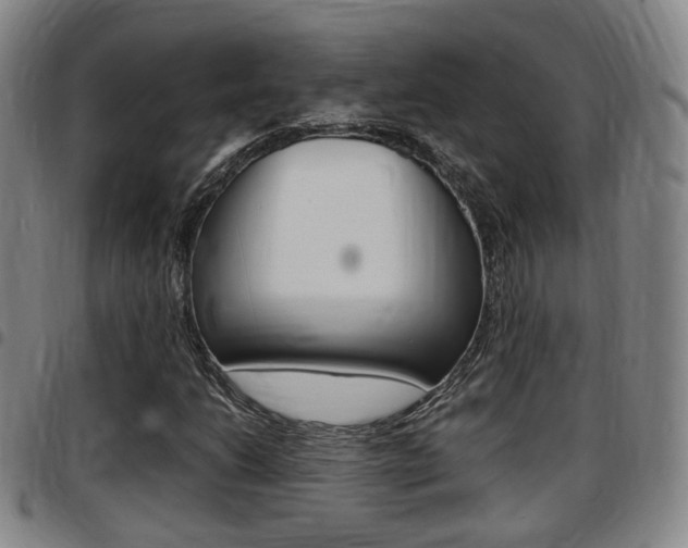 X0000097881206200803140934