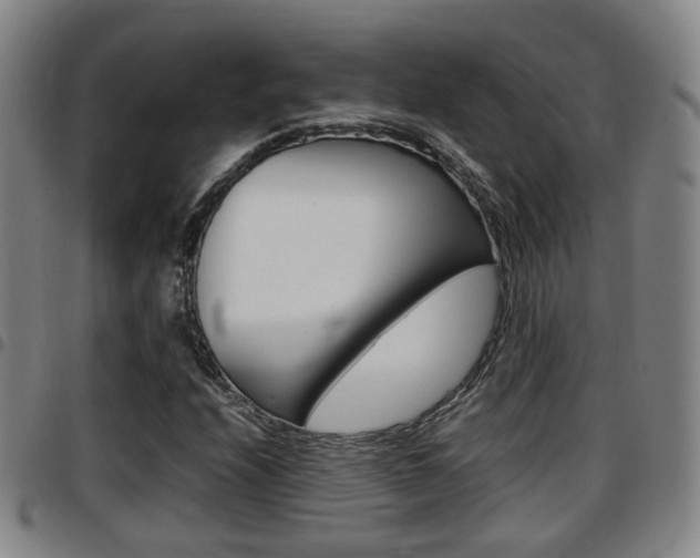 X0000097881208200803140934