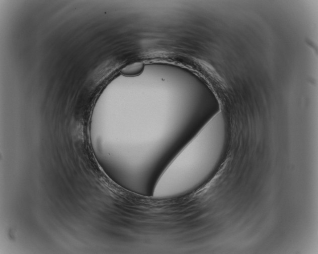 X0000097881209200803140934