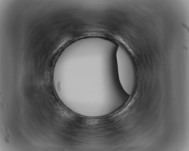 X0000097881211200803140934