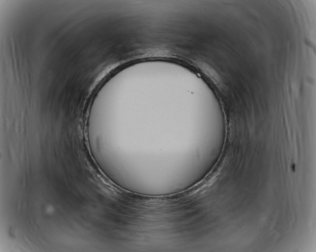 X0000097881212200803140934