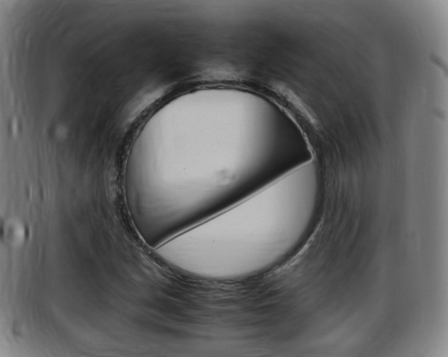X0000097881213200803140934